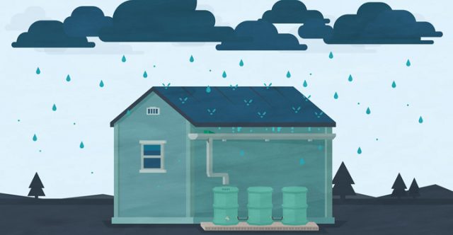 Captación De Agua Pluvial Para Aprovecharla En Riego​-Huerto en Casa