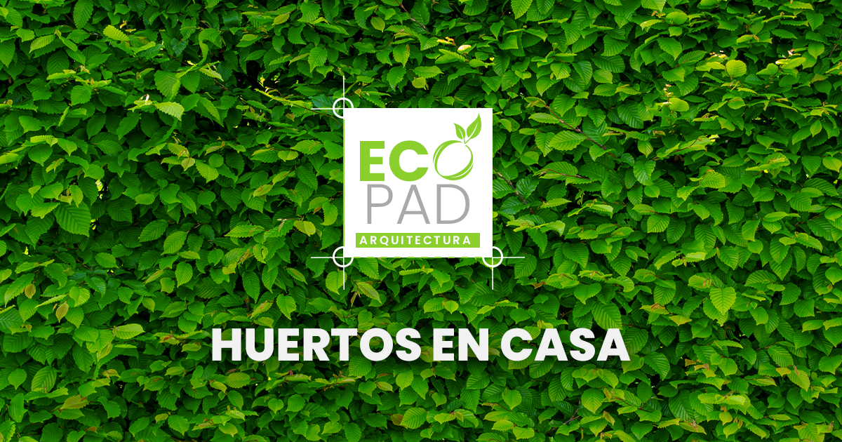 Huertos-en-casa-EcoPad-Arquitectura-